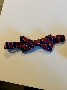 Arrow Classic Striped Red and Navy Bow Tie for Men
